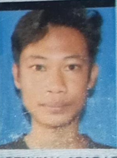 ARIO PINGKI